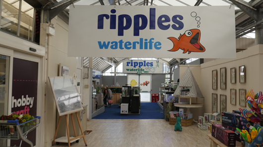 Blue Diamond Bridgmere Garden Opening GTN090525 171.jpg