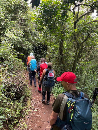 Day 1 - through the tropical forest.jpg
