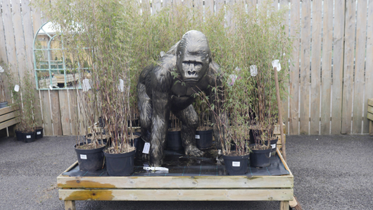 Gates at Woodlands GTN150325 013.jpg