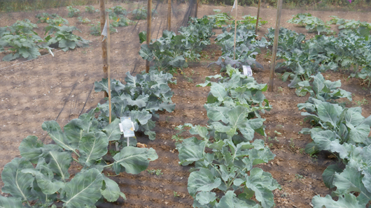 Mr Fothergills Press Day 2024 GTN070824 032.jpg