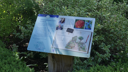 Blue Diamond Bridgmere Garden Opening GTN090525 056.jpg