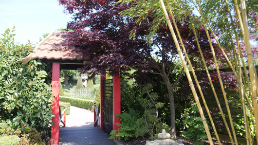 Blue Diamond Bridgmere Garden Opening GTN090525 051.jpg