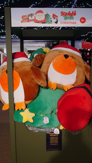 BD Blackdown GTN221025 045.jpg