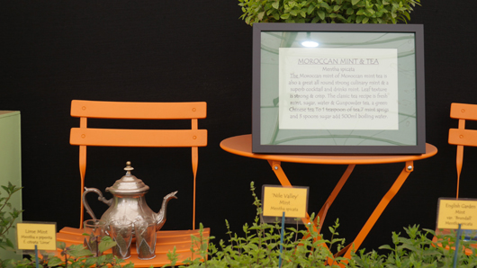 RHS Sandringham 2026 GTN230726 011.jpg