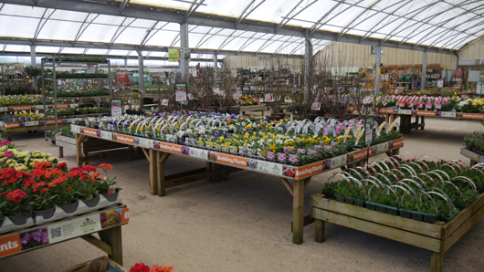 BGC Rugby Opening GTN150325 023.jpg