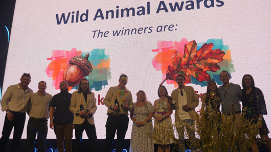 Blue Diamond Awards 2026 GTN190326 137.jpg