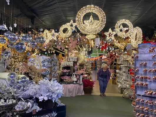 Summerhill - Oct 2025 GTN221025 067.jpg