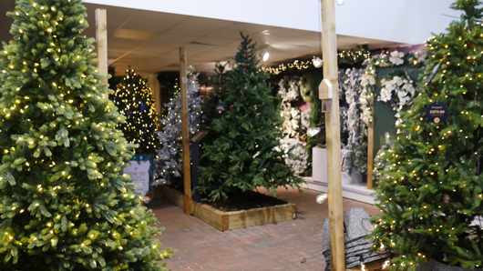 BD Blackdown GTN221025 015.jpg