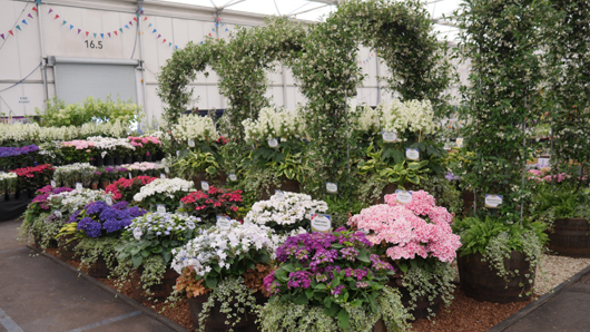 BBC GW Live 2025 Press Day GTN110625 034.jpg