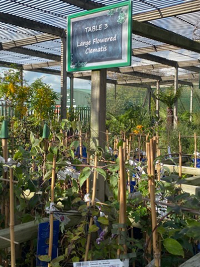 Summerhill - Oct 2025 GTN221025 101.jpg