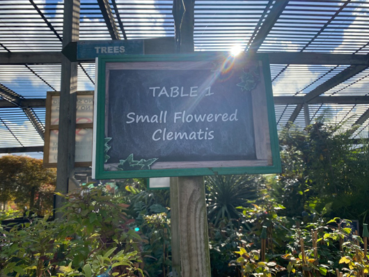 Summerhill - Oct 2025 GTN221025 100.jpg