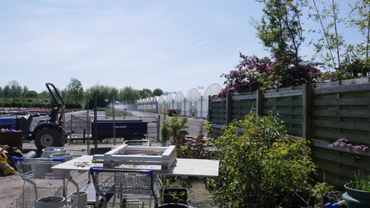 Blue Diamond Bridgmere Garden Opening GTN090525 054.jpg