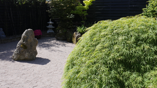 Blue Diamond Bridgmere Garden Opening GTN090525 049.jpg