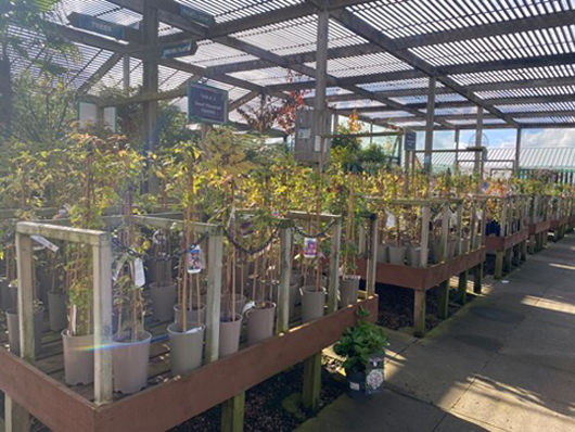 Summerhill - Oct 2025 GTN221025 099.jpg