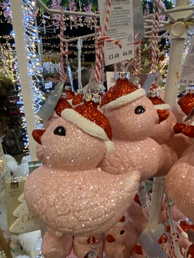 Summerhill - Oct 2025 GTN221025 090.jpg