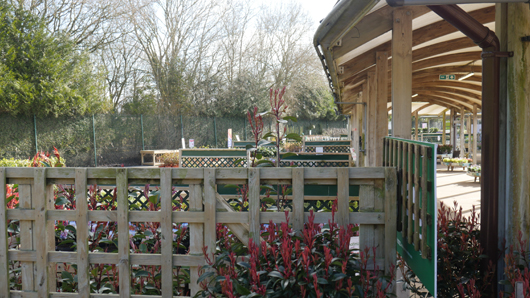 BGC Rugby Opening GTN150325 018.jpg