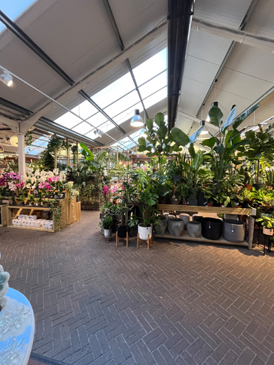 Ransoms Jersey - Oct 2025 GTN-HG201025 030.jpg