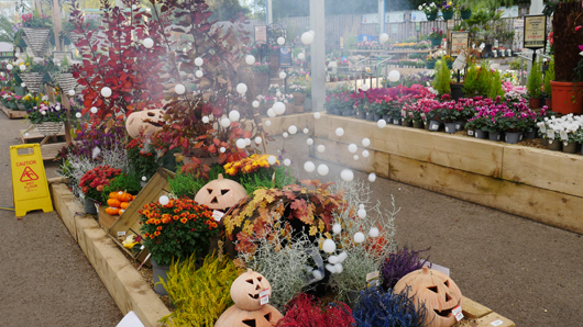 BD Blackdown GTN221025 129.jpg