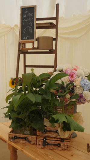 Mr Fothergills Press Day 2024 GTN070824 006.jpg