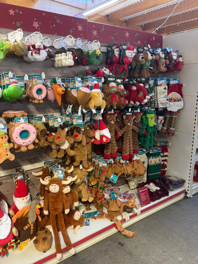 Dobbies Peterborough Christmas 2026 GTN151026 046.jpg