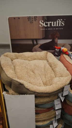 Choice Marketing 2025 GTN300925 019.jpg