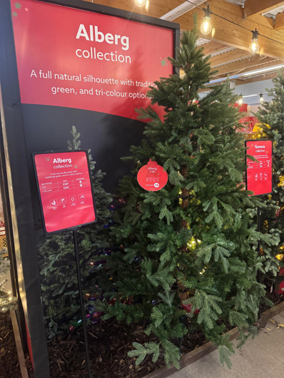 Dobbies Peterborough Christmas 2026 GTN151026 035.jpg