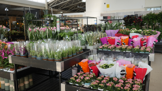 BGC Rugby Opening GTN150325 042.jpg