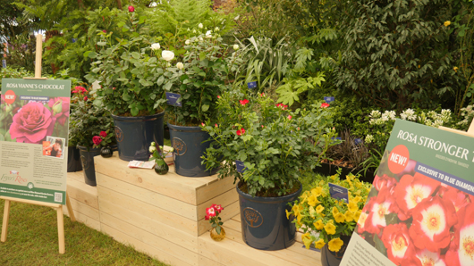 Chelsea 2025 Press Day GTN190525 146.jpg