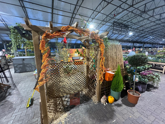 Dobbies Peterborough Christmas 2026 GTN151026 068.jpg