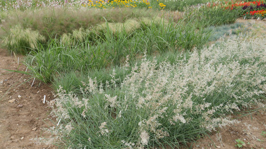 Mr Fothergills Press Day 2024 GTN070824 035.jpg