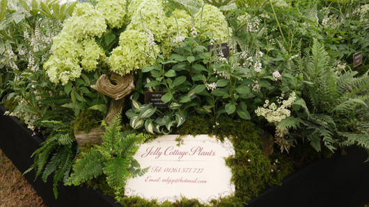 RHS Sandringham 2026 GTN230726 021.jpg