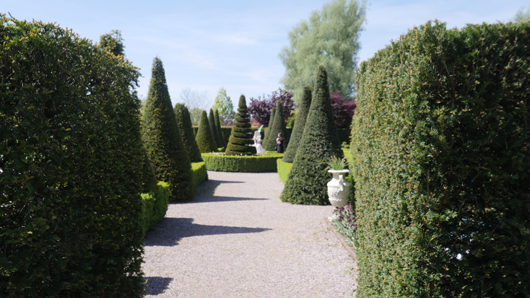 Blue Diamond Bridgmere Garden Opening GTN090525 062.jpg