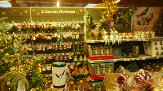 Dobbies Peterborough Christmas 2026 GTN151026 014.jpg
