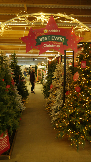 Dobbies Peterborough Christmas 2026 GTN151026 005.jpg