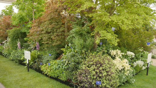 Chelsea 2025 Press Day GTN190525 127.jpg