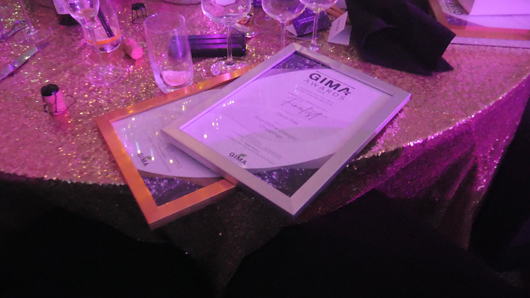 GIMA Awards 2024 GTN081124 094.jpg