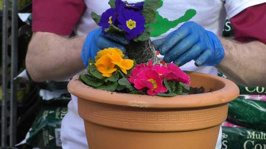 Garden Re-Leaf Day from Twitter 170318_GTN020.jpg