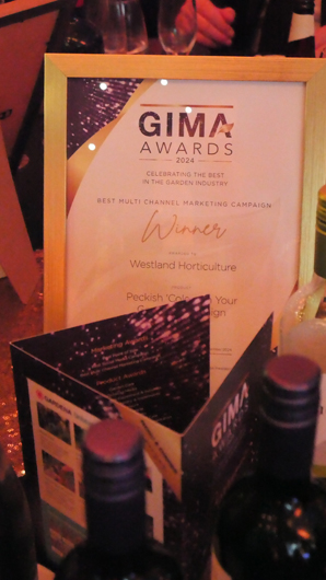 GIMA Awards 2024 GTN071124 013.jpg