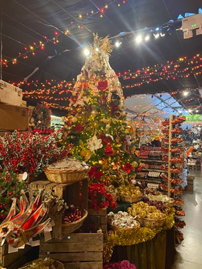 Summerhill - Oct 2025 GTN221025 074.jpg