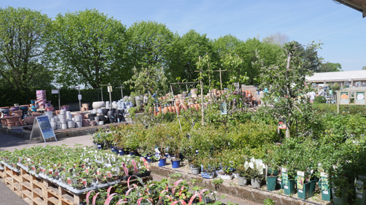 Blue Diamond Bridgmere Garden Opening GTN090525 096.jpg