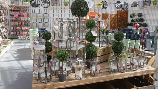 Blue Diamond Bridgmere Garden Opening GTN090525 113.jpg