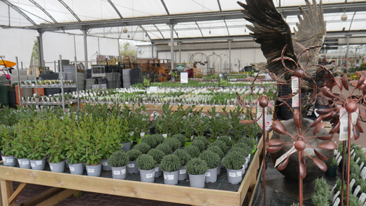 Gates at Woodlands GTN150325 027.jpg