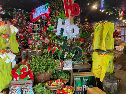 Summerhill - Oct 2025 GTN221025 042.jpg