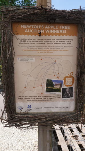 Blue Diamond Bridgmere Garden Opening GTN090525 098.jpg