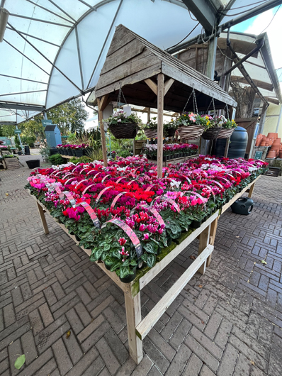 Ransoms Jersey - Oct 2025 GTN-HG201025 025.jpg