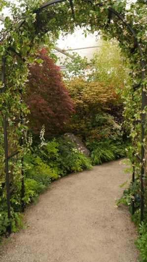 Chelsea 2025 Press Day GTN190525 130.jpg