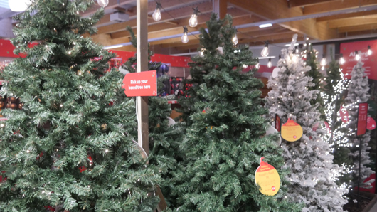 Dobbies Peterborough Christmas 2026 GTN151026 033.jpg