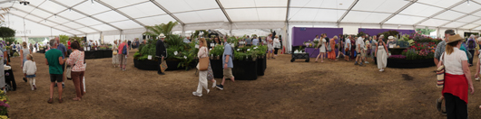 RHS Sandringham 2026 GTN230726 026.jpg