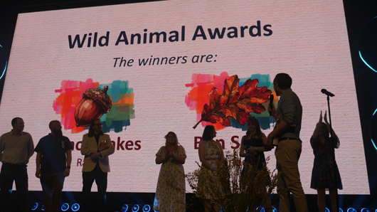 Blue Diamond Awards 2026 GTN190326 133.jpg