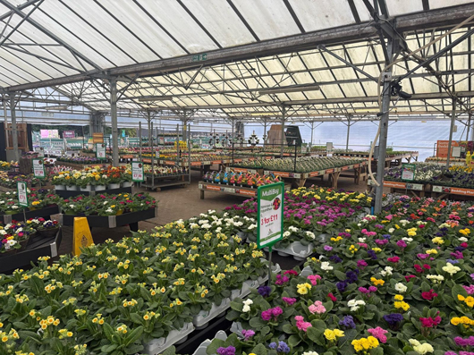 Gosforth Garden Centre - outdoor plant area.jpg